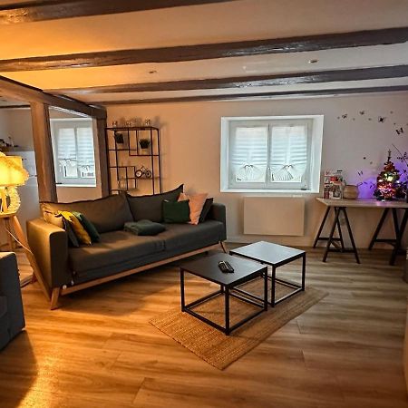 Le Nid Cosy D'Obernai /2Min Centre Ville/Parking Ngoại thất bức ảnh