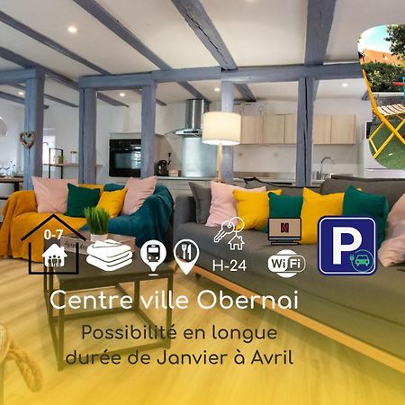 Le Nid Cosy D'Obernai /2Min Centre Ville/Parking Ngoại thất bức ảnh