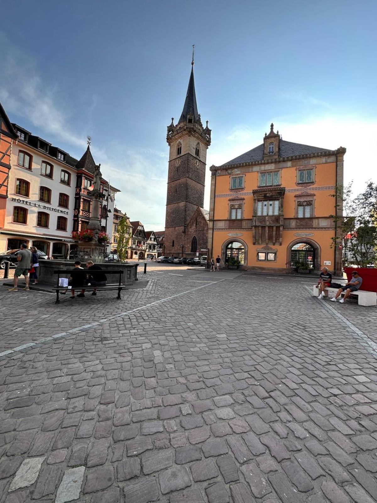 Le Nid Cosy D'Obernai /2Min Centre Ville/Parking Ngoại thất bức ảnh