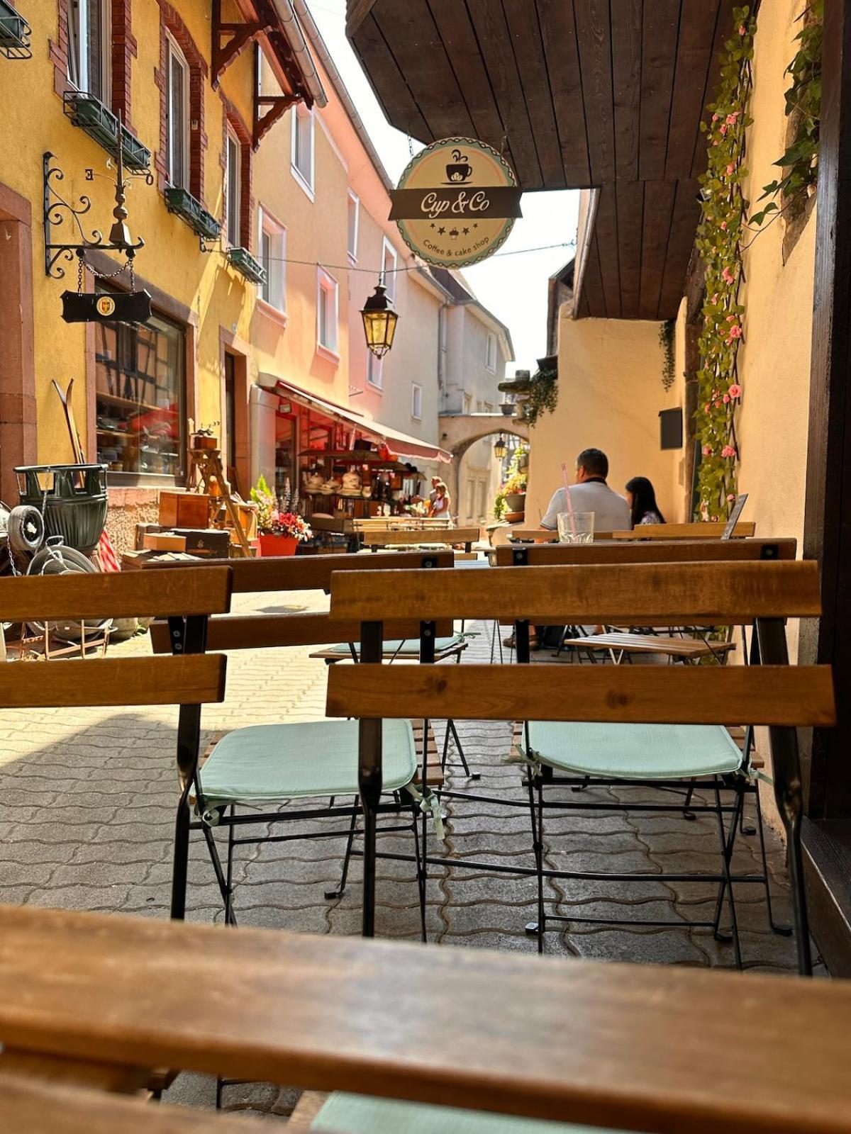 Le Nid Cosy D'Obernai /2Min Centre Ville/Parking Ngoại thất bức ảnh