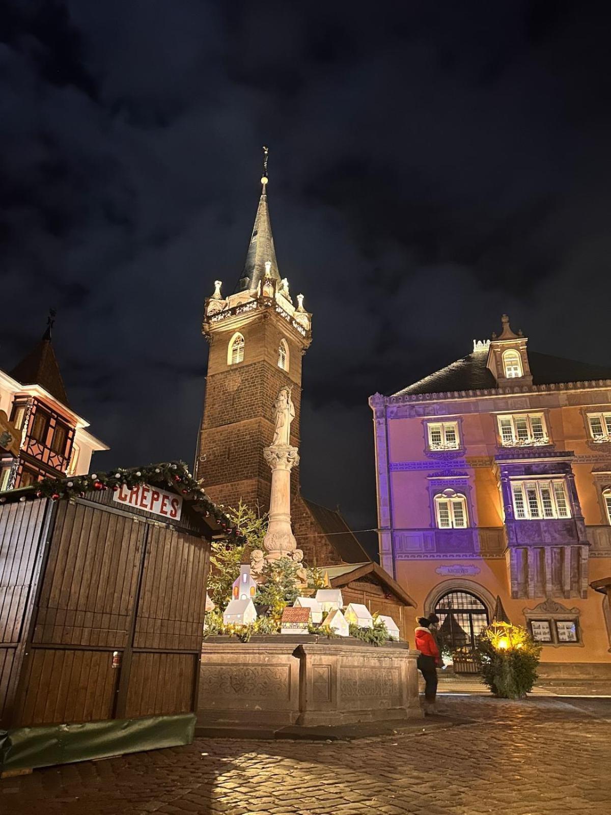 Le Nid Cosy D'Obernai /2Min Centre Ville/Parking Ngoại thất bức ảnh